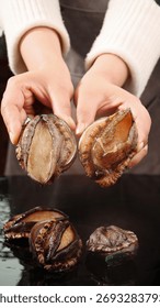Fresh live abalone shellfish held in hands showing interior shells, premium seafood catch for gourmet cuisine and fine dining preparation