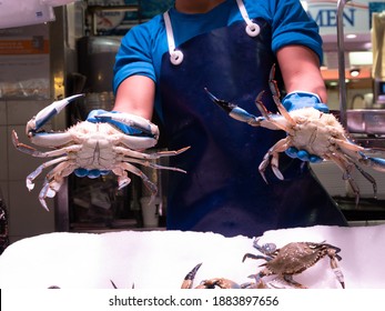 Fresh Live Crabs In Palma Market Mercado Oliver 