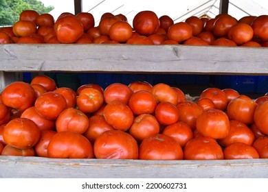 Fresh Local Red Beefsteak Tomatoes At A Farm Stand Near East Hampton NY