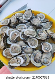 Fresh Louisiana gulf oysters on the half shell