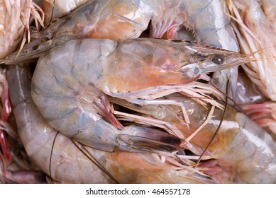 Fresh Louisiana Shrimp Caught In The Gulf Of Mexico