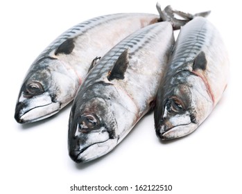 Fresh Mackerel Fishes Isolated On White