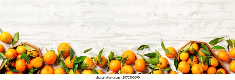 Fresh mandarin fruits with leaves on white wooden table. Banner or panorama. top view