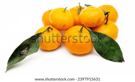 Fresh Mandarin Orange. Mandarin Imperial Ponkam Isolated on White Background. Realistic Orange. Jeruk Keprok. Citrus, Sweet and sour taste