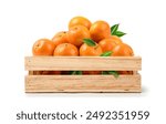 Fresh mandarin orange in wooden crate isolated on white background. 