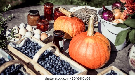 Fresh market produce, pumpkins, onions, jars of preserves, wooden baskets, blueberries, eggs, sunflower, greenery, rustic table, harvest display, autumn produce, natural sunlight - Powered by Shutterstock