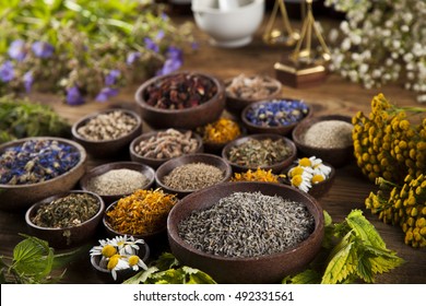 Fresh medicinal, healing herbs on wooden - Shutterstock ID 492331561