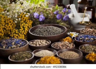 Fresh Medicinal Healing Herbs On Wooden Stock Photo 492338386 ...