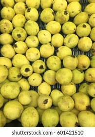 Fresh Mexican Guava Fruit