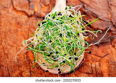 Fresh Micro Greens Sprouts Of Onion In Wooden Spoon