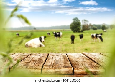 Fresh milk on wooden desk and spring landscape. 
