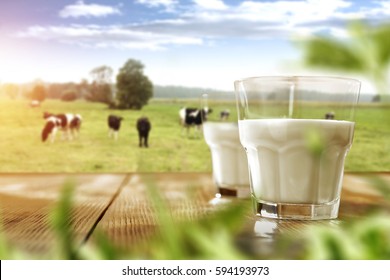 Fresh Milk And Spring Time 