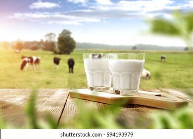 fresh milk and spring time  - Powered by Shutterstock