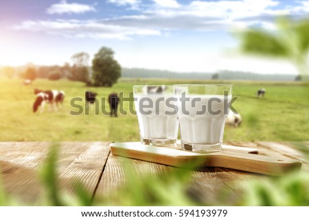 fresh milk and spring time 