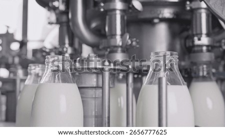 Fresh milk undergoing processing and bottling in a modern dairy facility, maintaining high standards of quality and hygiene from farm to table in every step of production