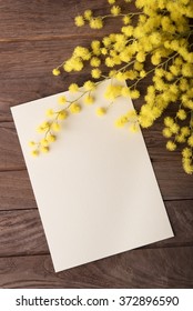 Fresh Mimosa Flower On Wooden Table