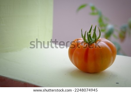fresh mini hillbilly tomato with soft blurred background.