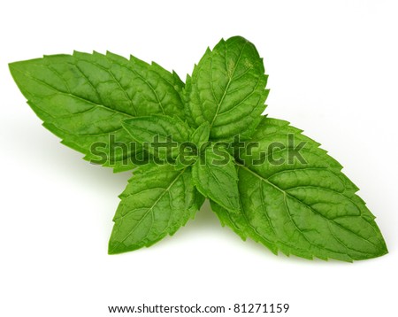 Fresh mint