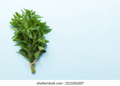Fresh mint bunch on colored table. Top view with copy space. - Shutterstock ID 2211056207