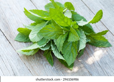 Fresh Mint Bunch On Garden Table