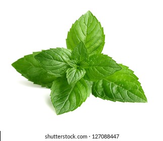 Fresh Mint In Closeup