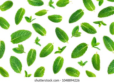 Fresh Mint Isolated On White. Set Of Peppermint. Mint Pattern
