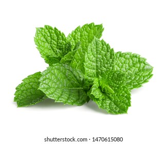 Fresh mint isolated on white background - Shutterstock ID 1470615080