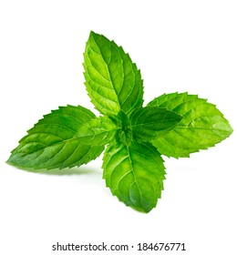 peppermint white background pictures
