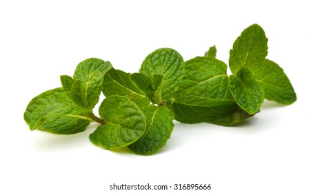 Fresh Mint Isolated On White Background 