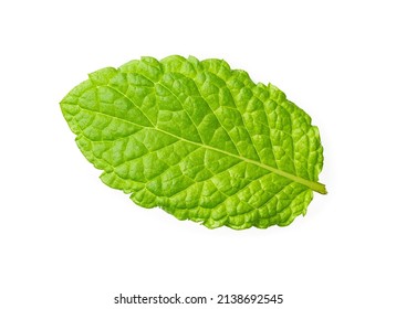 Fresh Mint Leaf Isolated On White Background. Green Peppermint Cutout. Macro Of Mentha Leaf. Aromatic Spearmint Herb With Menthol Close-up. Ingredient For Mojito Drink, Lemonade, Mint Tea. Top View.