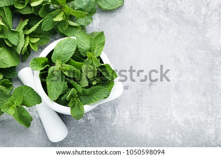 Fresh mint leafs in mortar on grey wooden table