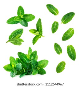 Fresh mint leaves collection  isolated on white background, top view. Close up of peppermint