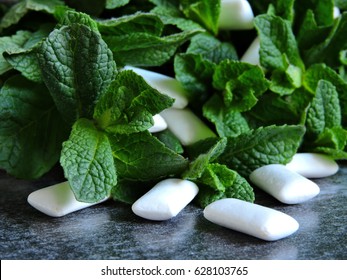 Fresh Mint Leaves With Gum. Macro.