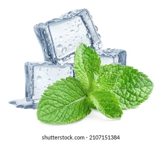 Fresh mint leaves and ice cubes, isolated on white background