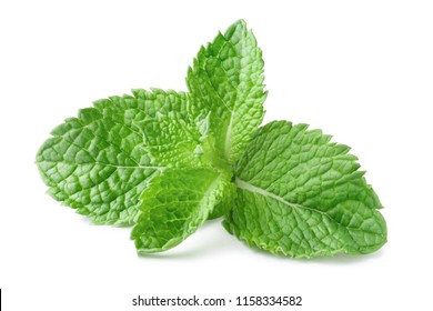 Fresh mint leaves, isolated on white background - Shutterstock ID 1158334582