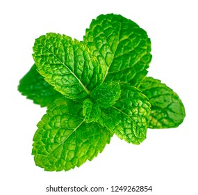 Fresh mint leaves isolated on white