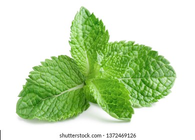 Fresh mint leaves, isolated on white background - Shutterstock ID 1372469126