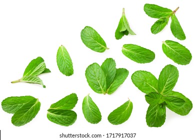 Mint Leaves Images, Stock Photos & Vectors | Shutterstock