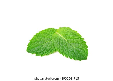 Fresh Mint leaves isolated on white background