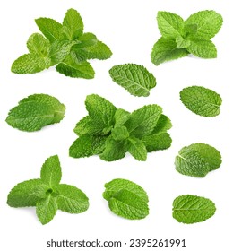Fresh mint leaves isolated on white, set