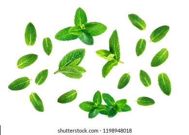 Fresh mint leaves pattern isolated on white background, top view. Close up of peppermint