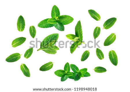 Fresh mint leaves pattern isolated on white background, top view. Close up of peppermint
