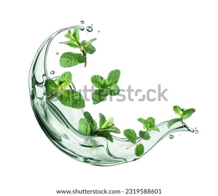 Fresh mint leaves in splashes of water isolated on white background