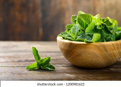 Fresh mint in a plate on a wooden background. decor for refreshing drinks and desserts. place for text