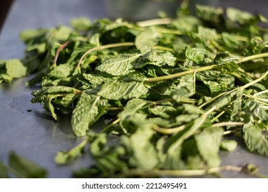 Fresh Mint Sprig On Steel Table