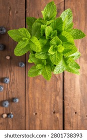 Fresh mint sprigs on a rustic wooden table with scattered blueberries create a vibrant culinary perfect for healthy recipes and organic food photography concepts