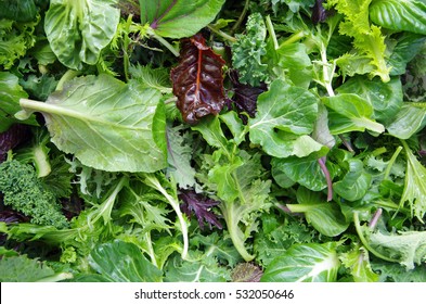 Fresh mixed salad field greens piled closeup view - Powered by Shutterstock