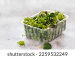 Fresh mixed salad leaves  in  plastic container  on rustic background. Selective focus,  blank space