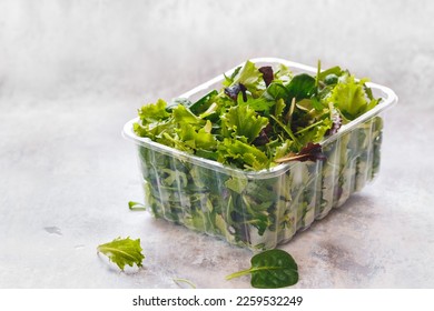 Fresh mixed salad leaves  in  plastic container  on rustic background. Selective focus,  blank space