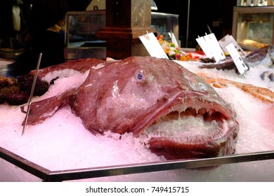 Fresh Monk Fish On Ice Bucket